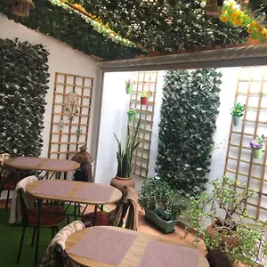book here